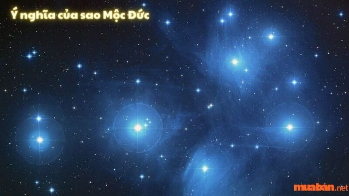 Tìm hiểu về ý nghĩa của sao Mộc Đức