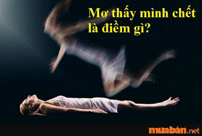 Ý nghĩa của từng giấc mơ