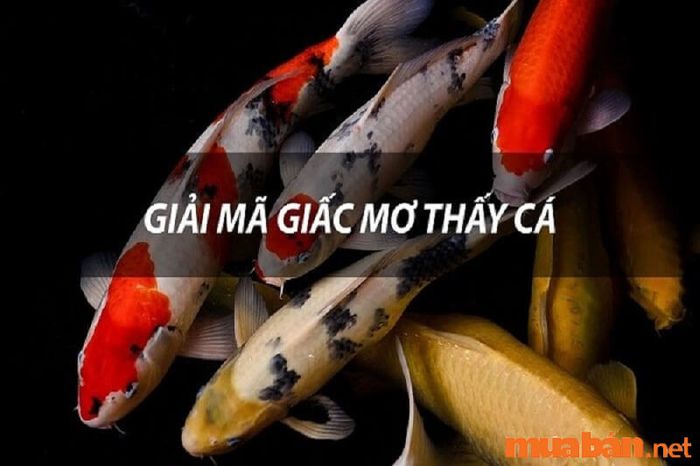 Ý nghĩa các giấc mơ