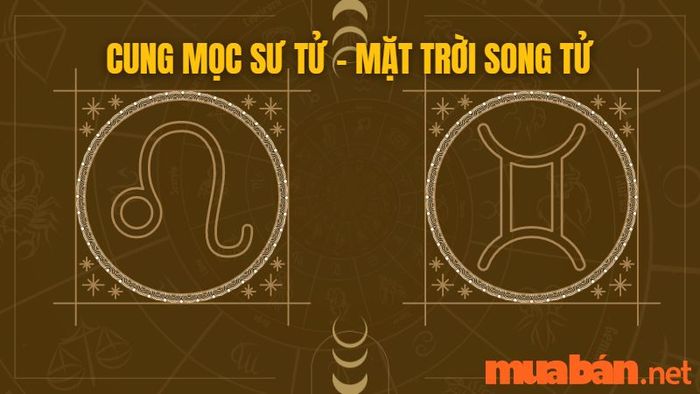 Cung Mọc Sư Tử kết hợp với mặt trời Song Tử
