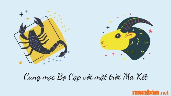 Cung mọc Bọ Cạp với mặt trời Ma Kết