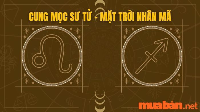 Cung mọc Sư Tử kết hợp với mặt trời Nhân Mã