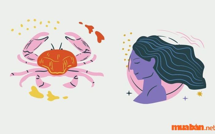 Cự Giải và Thiên Bình nên chỉ duy trì mối quan hệ bạn bè mà thôi