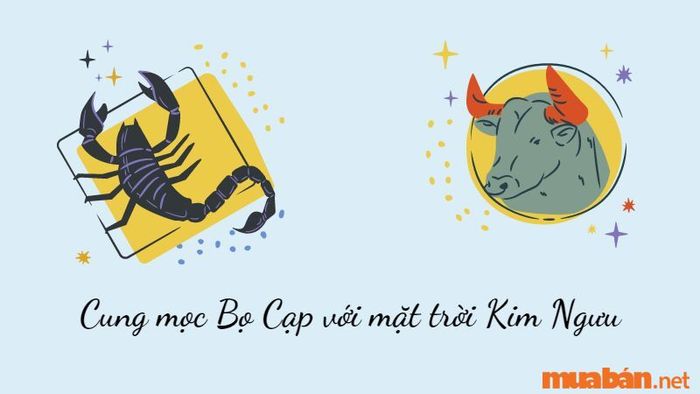 Cung Mọc Bọ Cạp kết hợp với mặt trời Kim Ngưu