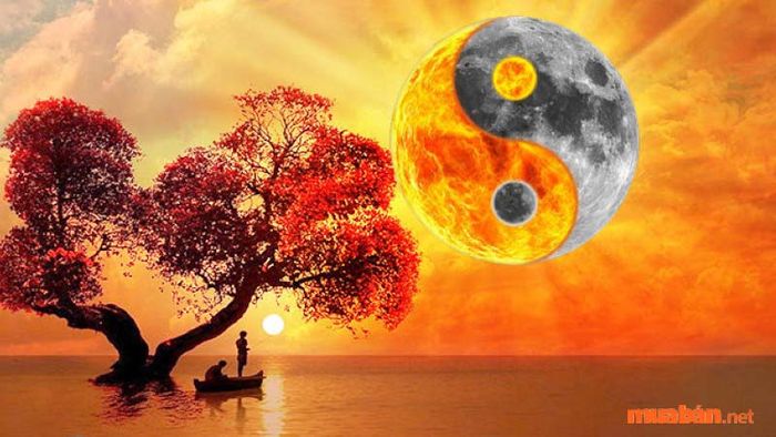 Số 35 phù hợp với gia chủ mệnh Hỏa