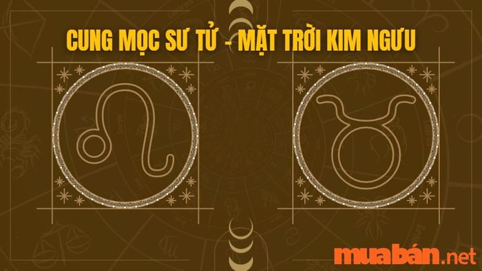 Cung Mọc Sư Tử kết hợp với mặt trời Kim Ngưu