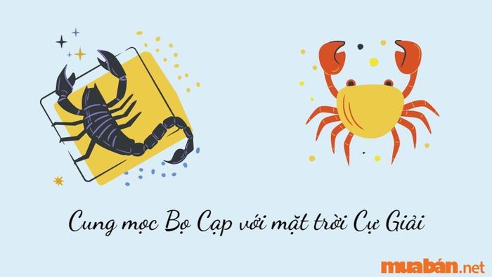 Cung Mọc Bọ Cạp kết hợp với mặt trời Cự Giải