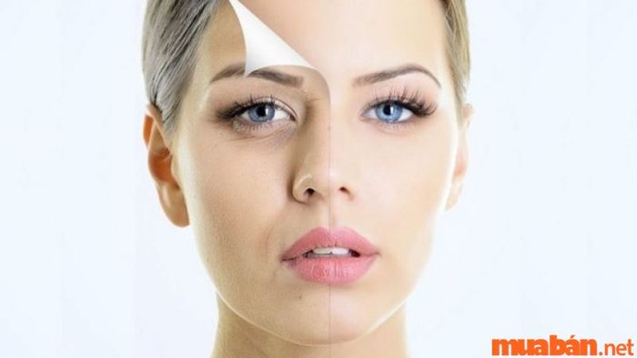 Chống lão hóa và bảo vệ sức khỏe toàn diện