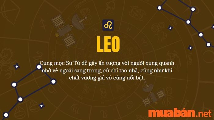 Vẻ ngoài của cung Mọc Sư Tử