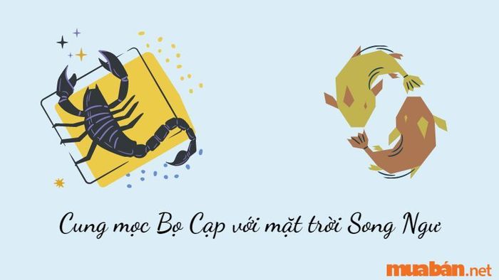 Cung mọc Bọ Cạp với mặt trời Song Ngư