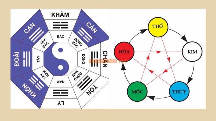 Tầm quan trọng của mệnh Cung phi trong phong thuỷ