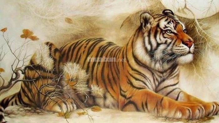 Tổng quan về nam tuổi Mậu Dần 1998