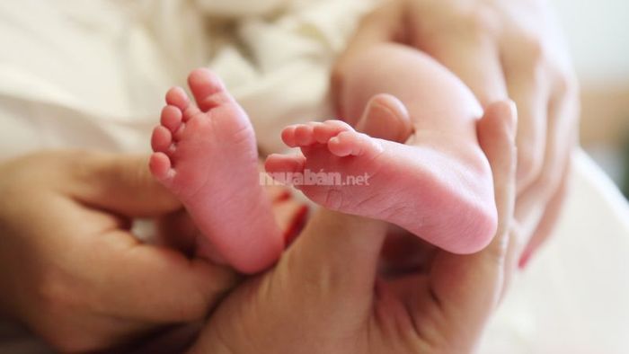 Những ngày tốt để sinh con trong tháng 10 năm 2025