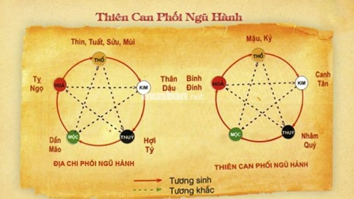 Tử vi Mậu Dần 1998 nam mạng theo ngũ hành thiên can
