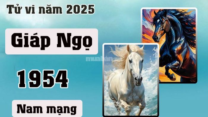 Tử vi tuổi Giáp Ngọ 1954 nam mạng 2025: Dự đoán chi tiết về cuộc sống