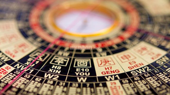 Tử vi nam mạng Giáp Ngọ 1954 năm 2025 theo thiên can.