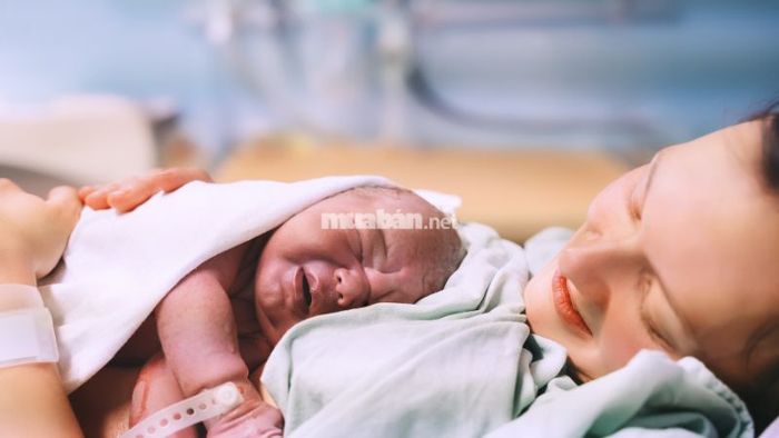 Trẻ sinh vào giờ Thìn thường rất thông minh và sắc sảo