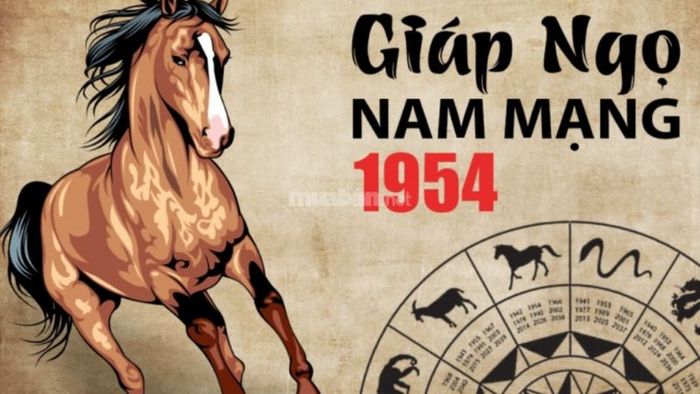 Tổng quan về Tử vi tuổi Giáp Ngọ 1954 nam mạng trong năm 2025.