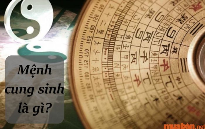 Để hiểu rõ cách biết mình mệnh gì, bạn cần nắm rõ khái niệm về mệnh cung sinh và cách tính toán chúng.