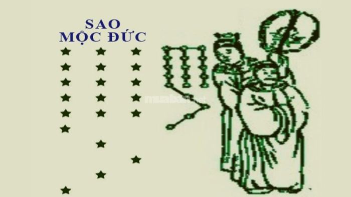 Nam mạng Giáp Ngọ 1954 sẽ được sao Mộc Đức chiếu mệnh trong năm 2025.