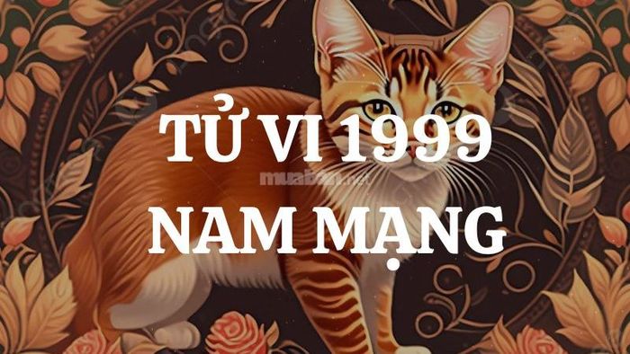 Tổng quan tử vi tuổi Kỷ Mão 1999 nam mạng 2025