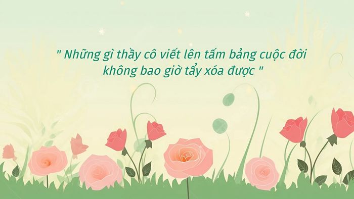 Background 20/11 tuyệt đẹp, nổi bật