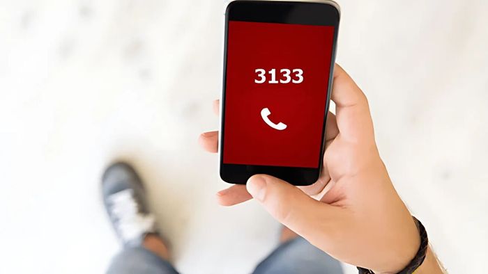 Mục đích chính của cuộc gọi đến từ số 3133 là gì?