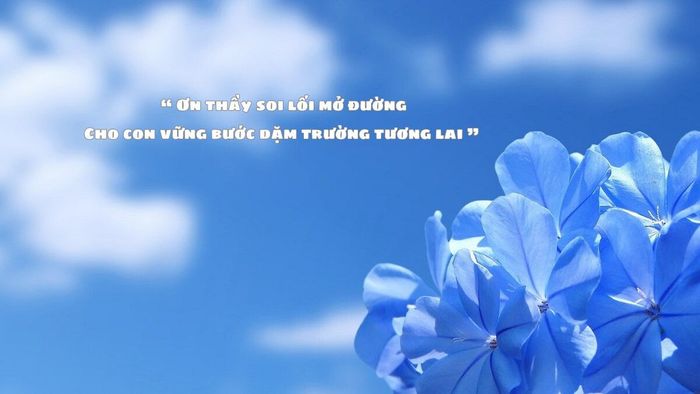 Mẫu background 20/11 có những câu trích dẫn tuyệt vời