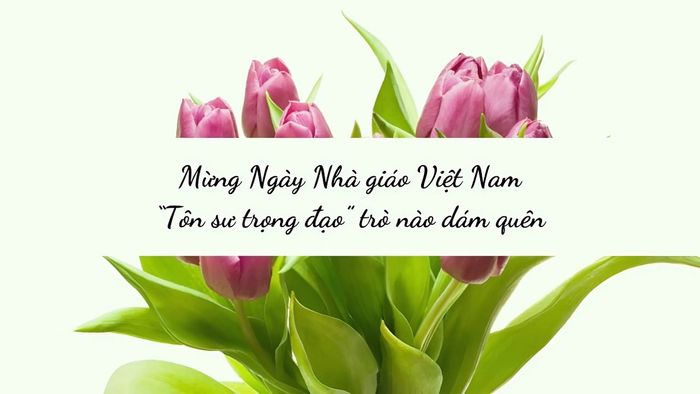 Mẫu background 20/11 thể hiện tấm lòng thành kính