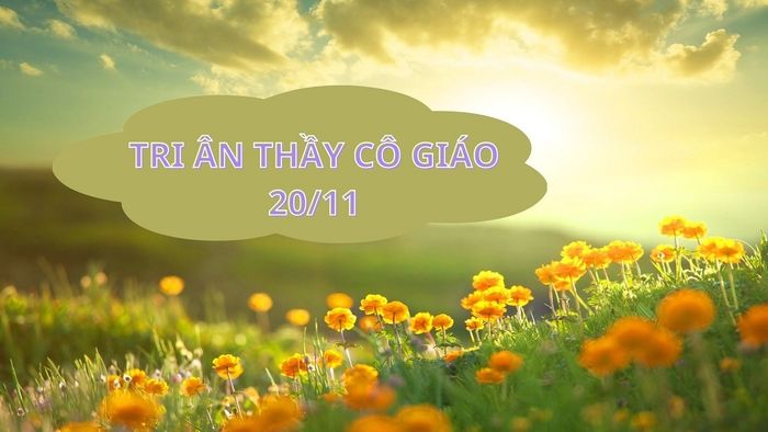 Chọn lựa phông nền hoa phù hợp cho Ngày Nhà giáo 20/11 đầy ý nghĩa
