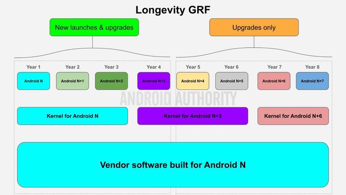 Giới thiệu về chương trình Longevity GRF của Google