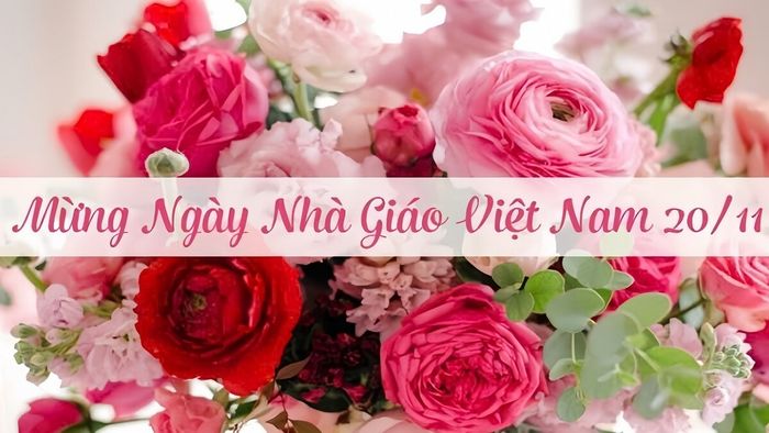 Phông nền trang trí ngày 20/11 với hoa cỏ đẹp mắt, đầy ấn tượng