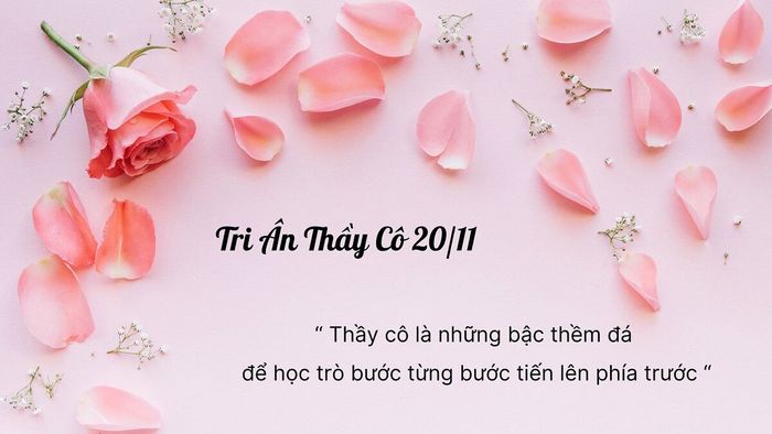 Thiết kế background để tri ân và tôn vinh thầy cô trong dịp 20/11
