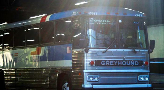 Tiffany and Bridgette first crossed paths at the Greyhound bus station in Sacramento.