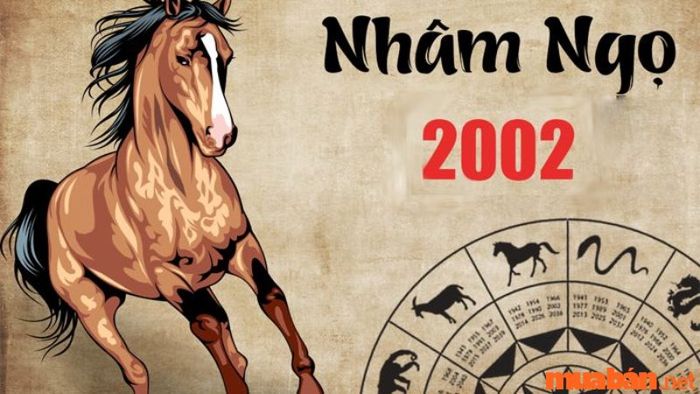 Mệnh Của Người Sinh Năm 2002 Là Gì?