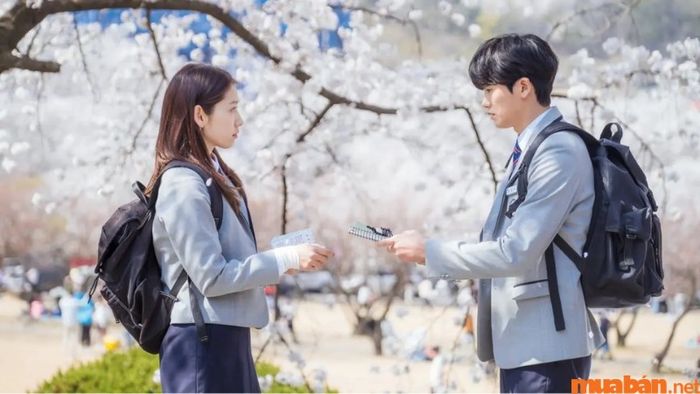 Nốt Trầm Cuộc Đời Bác Sĩ kể về hành trình của hai bác sĩ xuất sắc, Nam Ha-neul và Yeo Jeong-woo.