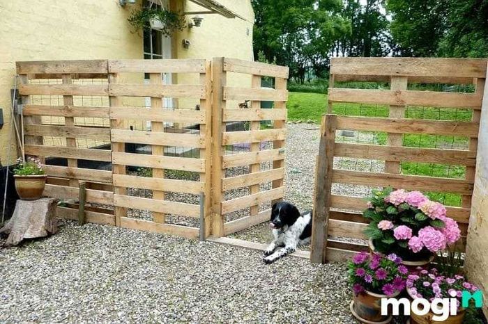 Hàng rào làm từ gỗ Pallet mang lại không gian ấm cúng và tiết kiệm chi phí, với vẻ đẹp tự nhiên, mộc mạc.