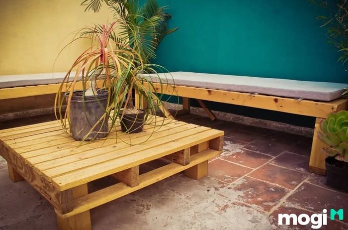 Bạn có thể tạo ra các bàn trưng bày chậu cây độc đáo từ gỗ Pallet