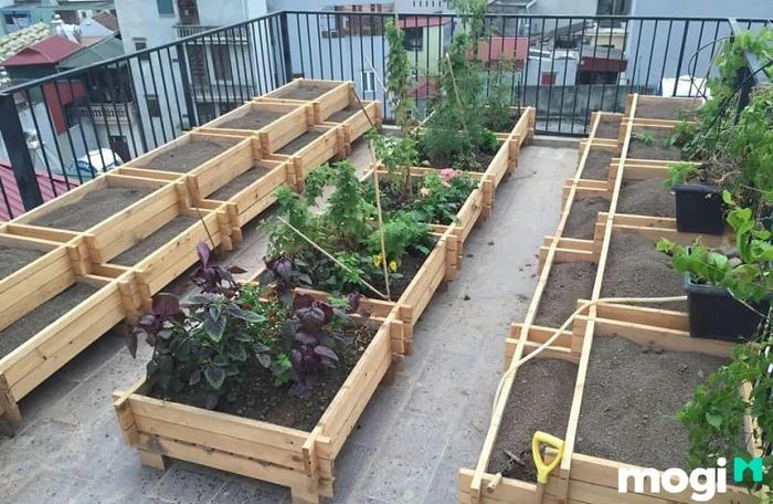 Bạn có thể sử dụng gỗ Pallet tái chế để trồng nhiều loại rau khác nhau, tạo nên một vườn rau nhỏ ngay tại nhà