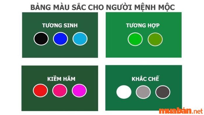 Màu Sắc Hợp Với Người Sinh Năm 2002