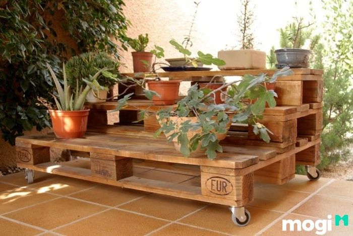 Tạo nhiều tầng và kích thước khác nhau để tạo không gian trưng bày chậu cây thú vị và đẹp mắt