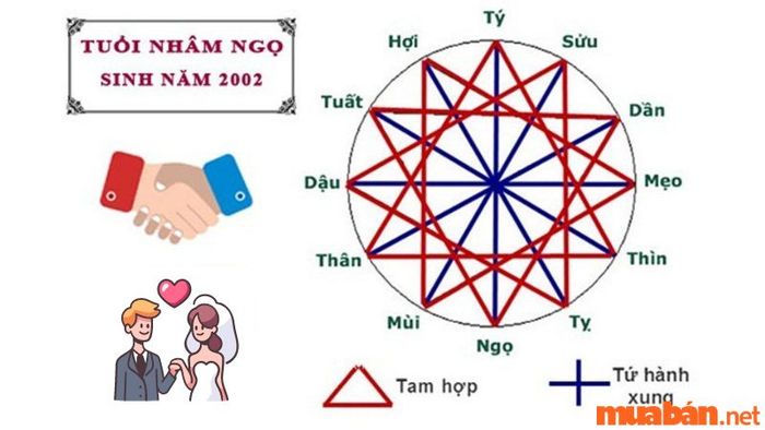 Tuổi Hợp Với Nhâm Ngọ 2002