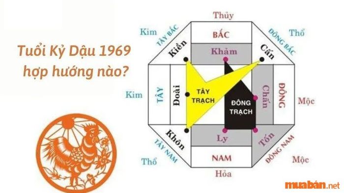 Hướng nhà phù hợp với nam mạng Kỷ Dậu