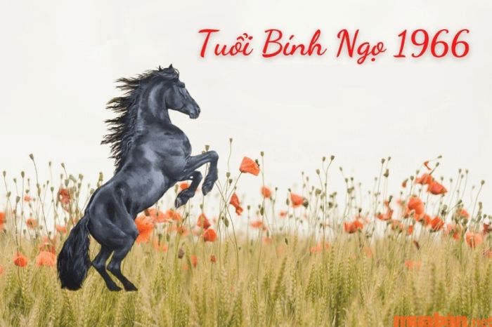 Khám phá thông tin về phong thủy cho tuổi Bính Ngọ năm 2024 và những yếu tố quan trọng cần lưu ý để thu hút may mắn và tài lộc.
