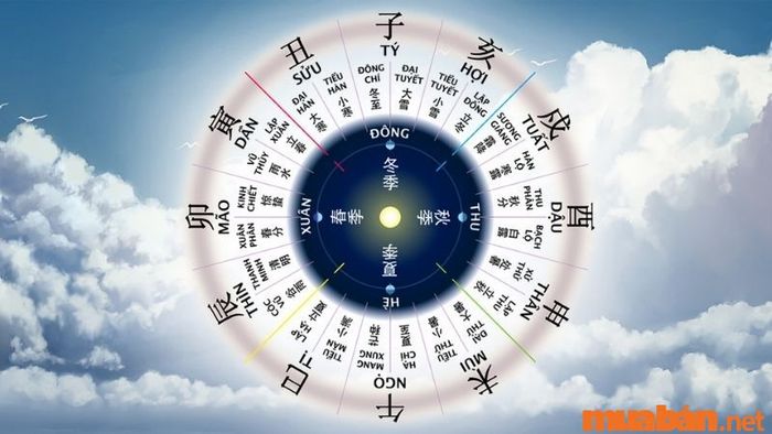 Tử vi Bính Ngọ 1966 nữ mạng xét theo địa chi