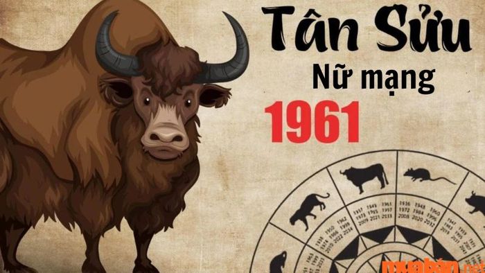 Ngũ hành của Tân Sửu 1961 năm 2024 có sự tương sinh với năm Giáp Thìn, mang đến những cơ hội tốt cho bản mệnh.