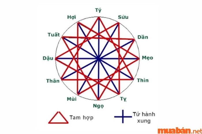 Địa chi Tuất của tuổi 1994 gặp địa chi Thìn của năm 2024 tạo ra mối quan hệ tương xung và phá tuế.