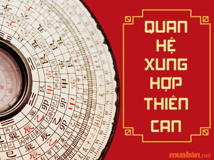 Thiên Can Của Nam Mạng Canh Tuất 1970 Trong Năm 2024