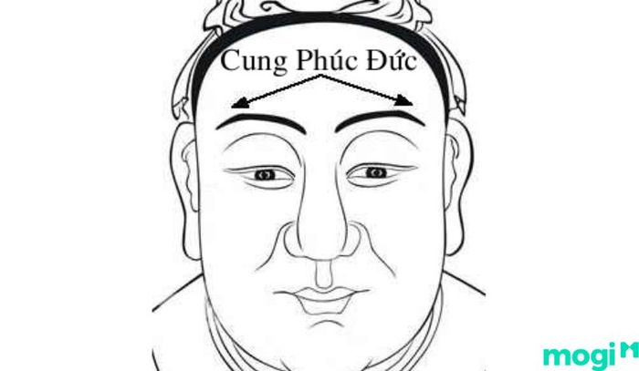 Sao Tam Thai ở cung Phúc Đức chỉ ra rằng mệnh chủ sẽ được tổ tiên che chở và bảo vệ.