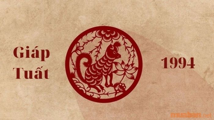 Tử vi cho tuổi Giáp Tuất 1994 nam mạng trong năm 2024